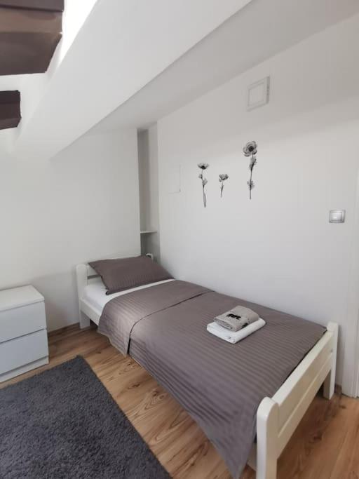 Loft Apartment بولا المظهر الخارجي الصورة